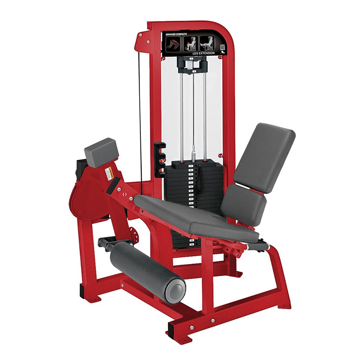 تمدد الساق أثناء الجلوس