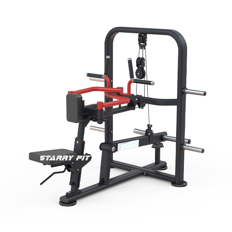 الكتف الدالي الخلفي الجالس<br />DLP260